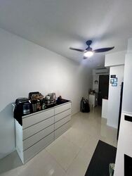 Treasure at Tampines (D18), Condominium #586871021